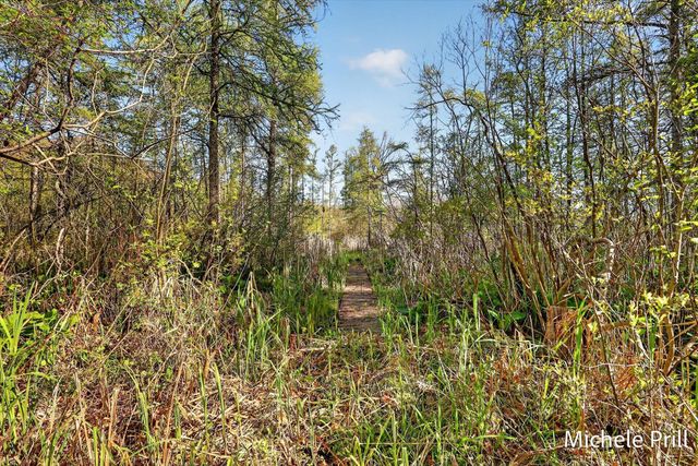 937 Bruce Drive, Yankee Springs Twp, MI 49333