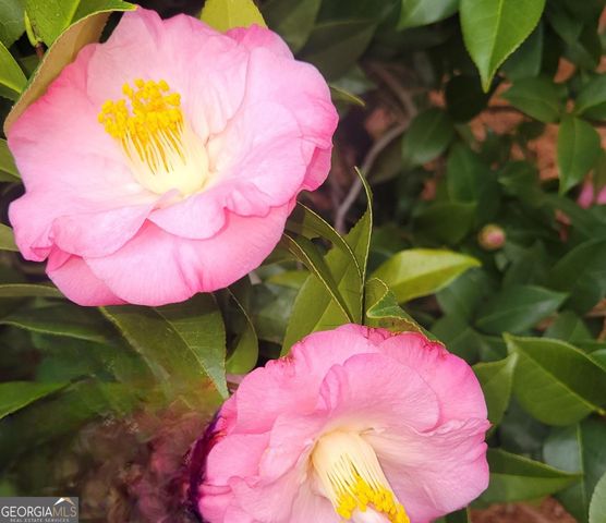 1800 Malco Drive, West Point, GA 31833