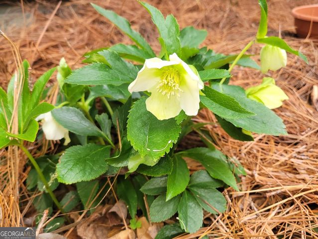 1800 Malco Drive, West Point, GA 31833