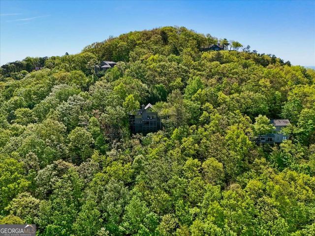 117 Falcon Heights Lane, Big Canoe, GA 30143