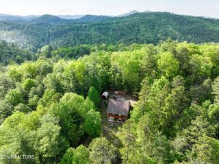 978 Corey Way, Del Rio, TN 37727