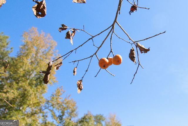 155 Creekwood Drive 15, Newnan, GA 30265