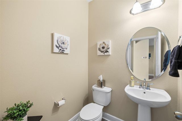 11636 ECCELSIA PLACE, Tampa, FL 33626