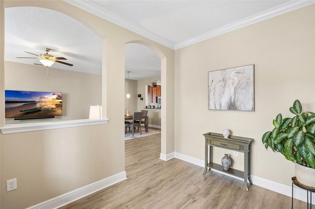 11636 ECCELSIA PLACE, Tampa, FL 33626