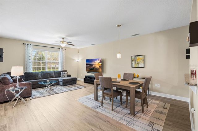 11636 ECCELSIA PLACE, Tampa, FL 33626