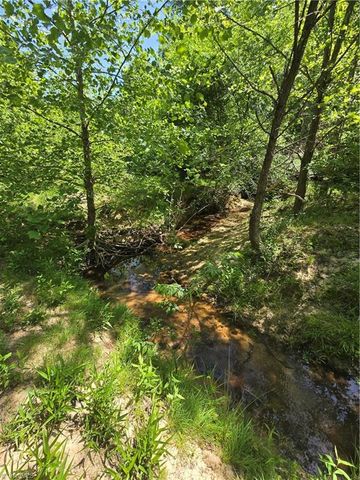 5022 Mt Hermon Rock Creek Road, Snow Camp, NC 27349