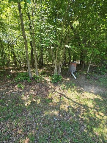 5022 Mt Hermon Rock Creek Road, Snow Camp, NC 27349