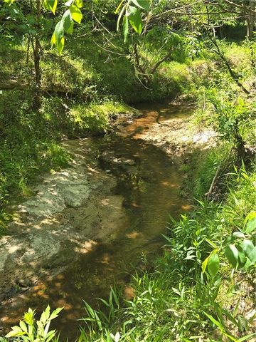 5022 Mt Hermon Rock Creek Road, Snow Camp, NC 27349