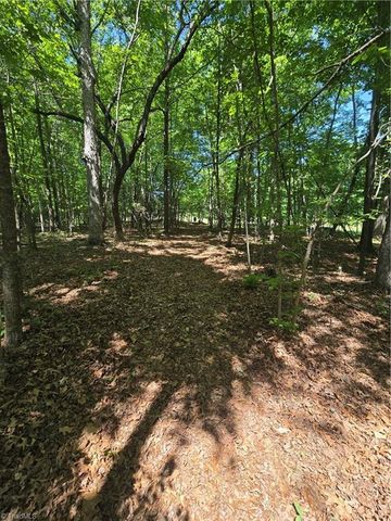 5022 Mt Hermon Rock Creek Road, Snow Camp, NC 27349
