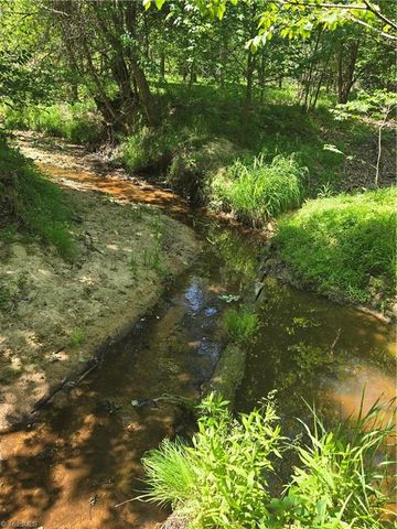 5022 Mt Hermon Rock Creek Road, Snow Camp, NC 27349