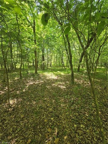 5022 Mt Hermon Rock Creek Road, Snow Camp, NC 27349