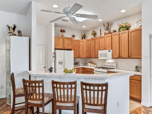 17835 SE 88TH GRIMBALL AVENUE, The Villages, FL 32162