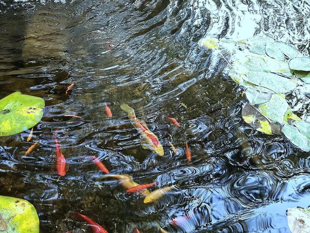 257 Camino De Lucia, Corrales, NM 87048