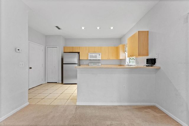 16309 NEWBURY PALMS COURT, Tampa, FL 33647