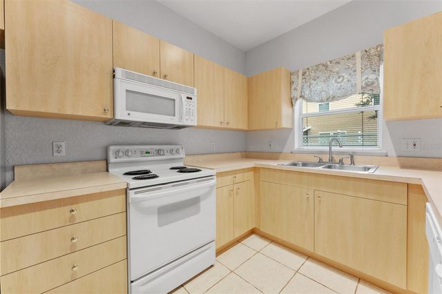 16309 NEWBURY PALMS COURT, Tampa, FL 33647