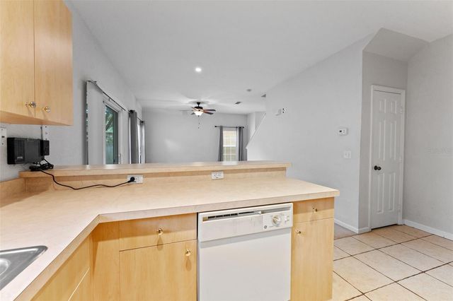 16309 NEWBURY PALMS COURT, Tampa, FL 33647