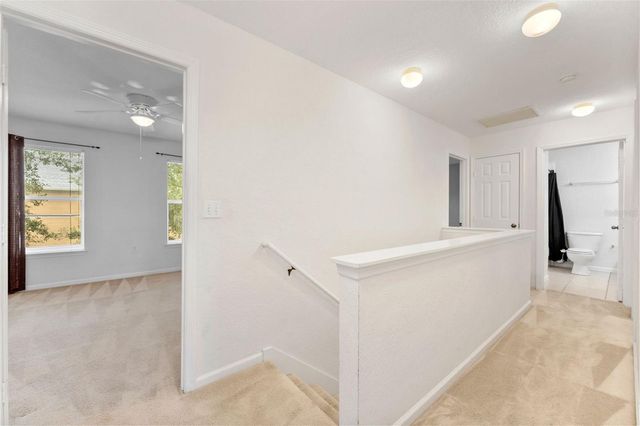 16309 NEWBURY PALMS COURT, Tampa, FL 33647