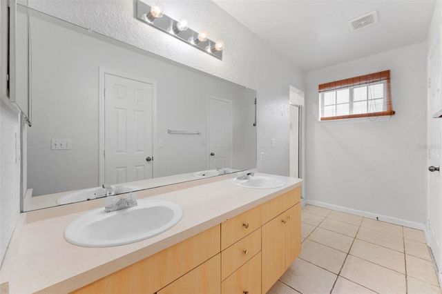 16309 NEWBURY PALMS COURT, Tampa, FL 33647