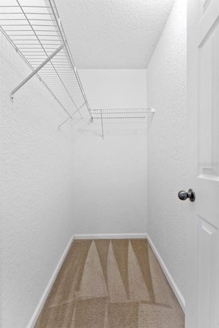16309 NEWBURY PALMS COURT, Tampa, FL 33647