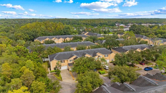 16309 NEWBURY PALMS COURT, Tampa, FL 33647