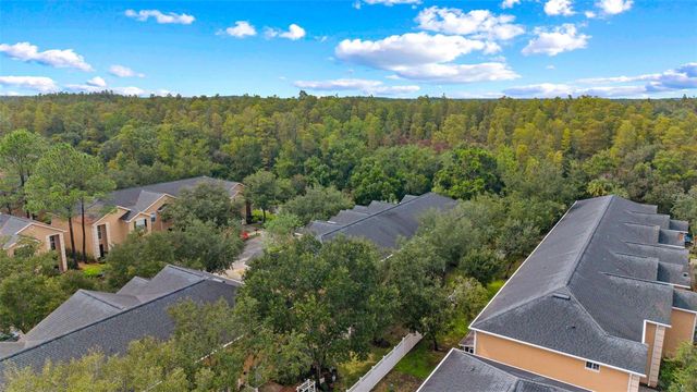 16309 NEWBURY PALMS COURT, Tampa, FL 33647