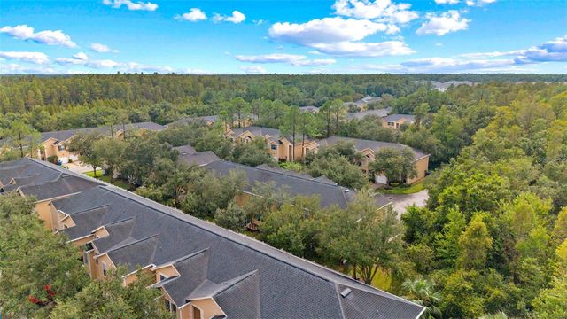 16309 NEWBURY PALMS COURT, Tampa, FL 33647
