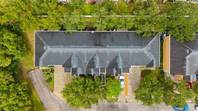 16309 NEWBURY PALMS COURT, Tampa, FL 33647