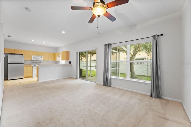 16309 NEWBURY PALMS COURT, Tampa, FL 33647