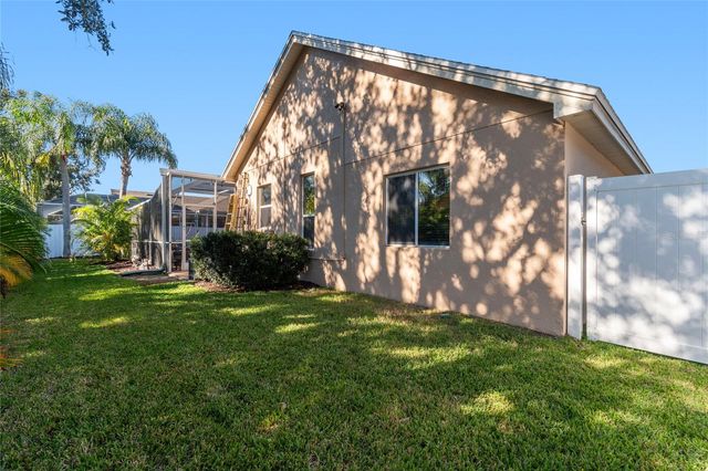 19104 NATURE PALM LANE, Tampa, FL 33647