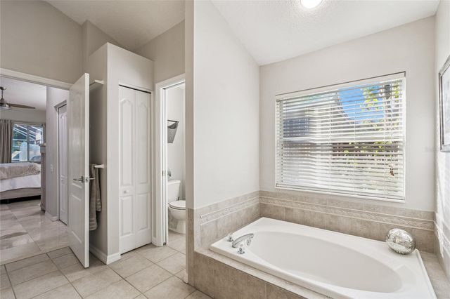 19104 NATURE PALM LANE, Tampa, FL 33647