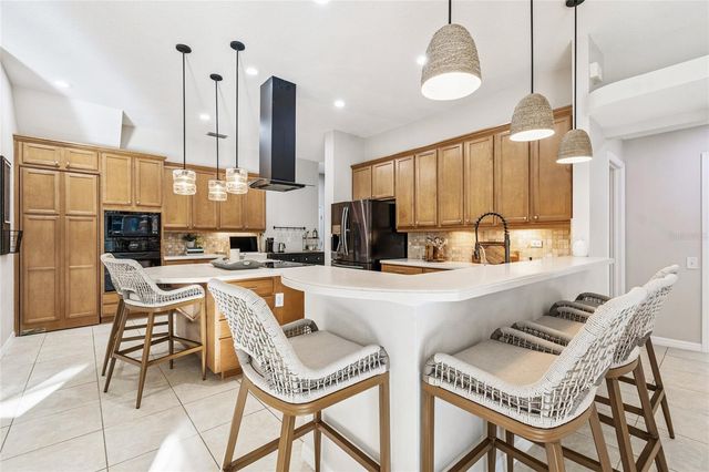 19104 NATURE PALM LANE, Tampa, FL 33647