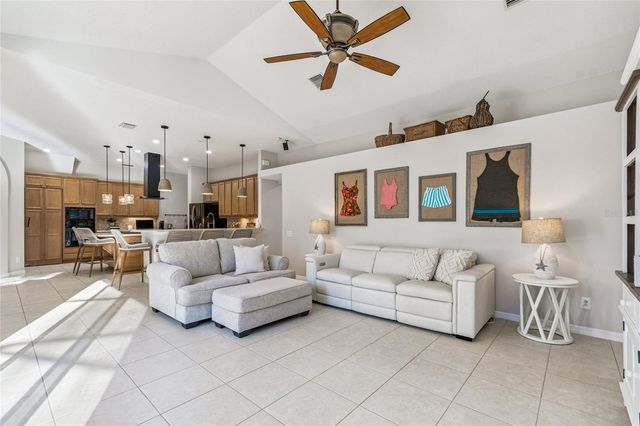 19104 NATURE PALM LANE, Tampa, FL 33647