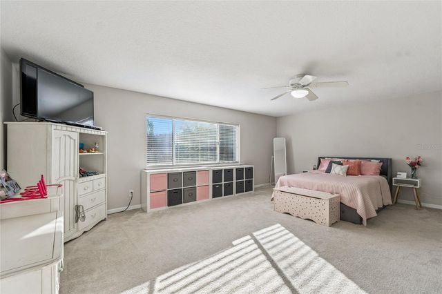 19104 NATURE PALM LANE, Tampa, FL 33647