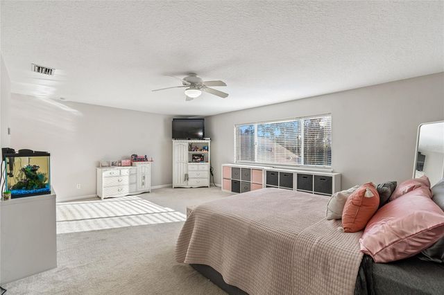 19104 NATURE PALM LANE, Tampa, FL 33647