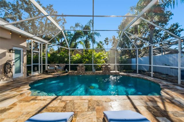 19104 NATURE PALM LANE, Tampa, FL 33647