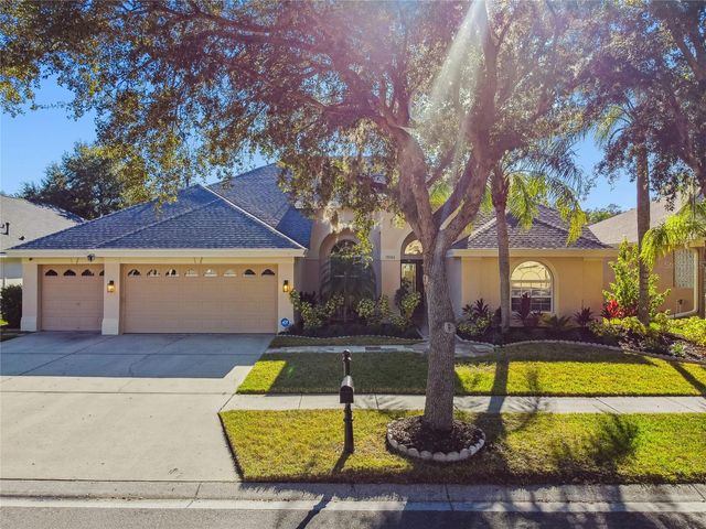 19104 NATURE PALM LANE, Tampa, FL 33647