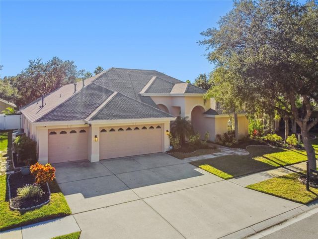 19104 NATURE PALM LANE, Tampa, FL 33647