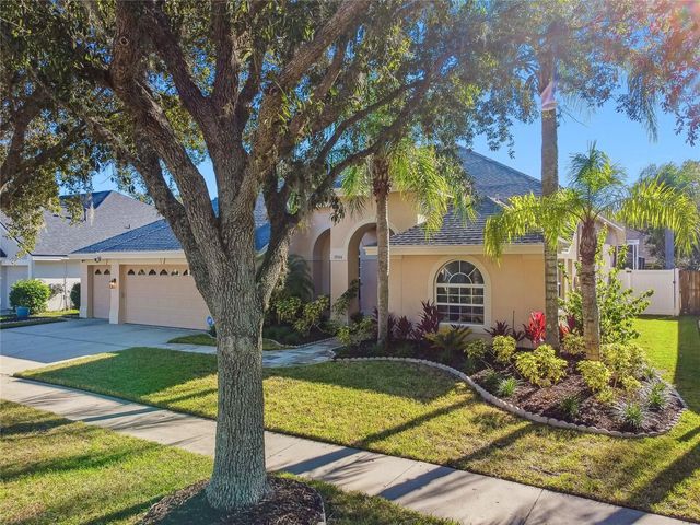 19104 NATURE PALM LANE, Tampa, FL 33647