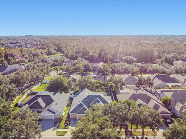 19104 NATURE PALM LANE, Tampa, FL 33647