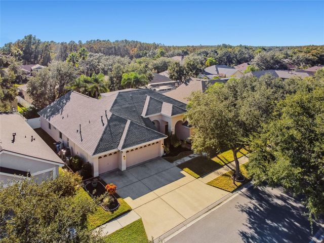 19104 NATURE PALM LANE, Tampa, FL 33647