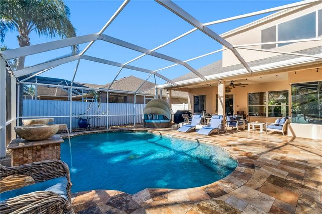 19104 NATURE PALM LANE, Tampa, FL 33647