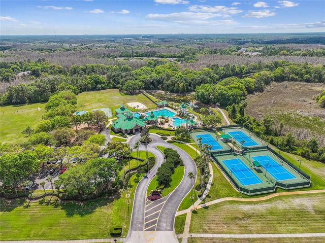 19104 NATURE PALM LANE, Tampa, FL 33647