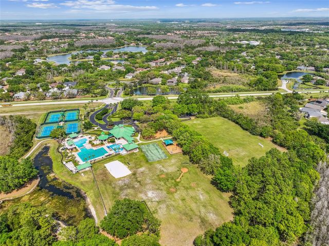 19104 NATURE PALM LANE, Tampa, FL 33647