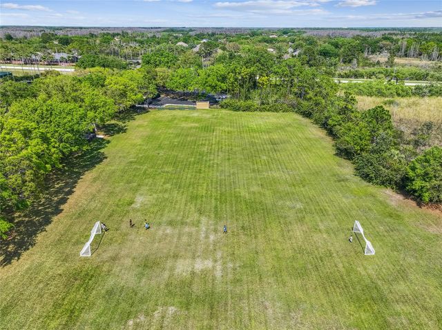 19104 NATURE PALM LANE, Tampa, FL 33647