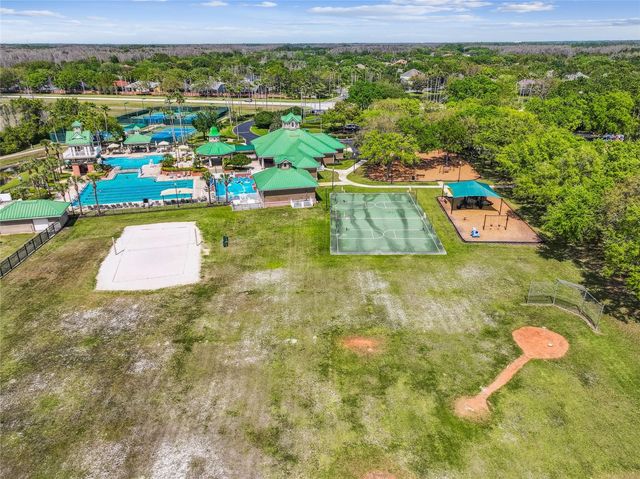 19104 NATURE PALM LANE, Tampa, FL 33647