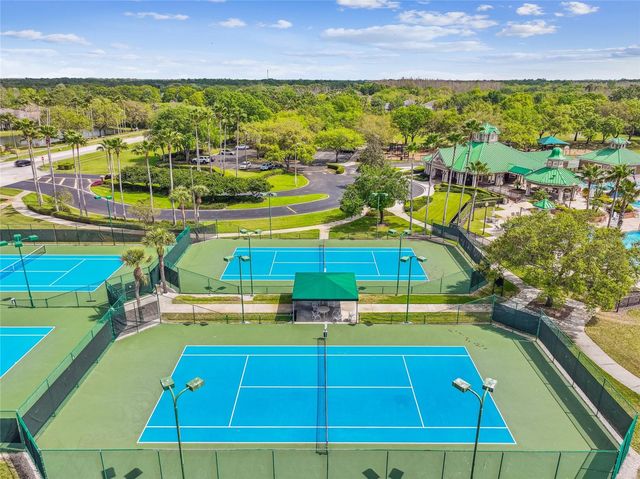 19104 NATURE PALM LANE, Tampa, FL 33647