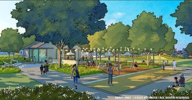 612 Deep Sands Drive, Waller, TX 77447