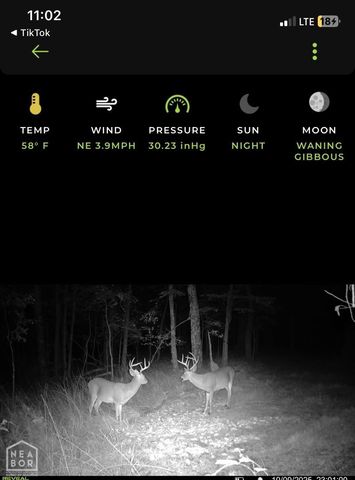 601 County Road 3540, Wynne, AR 72396