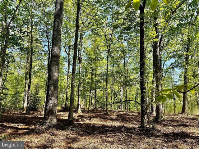 13121 BRISTOW RD, Nokesville, VA 20181