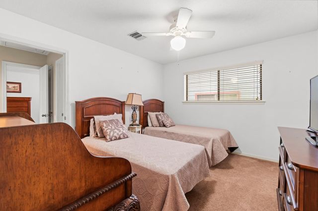 2839 Hemingway Drive, Montgomery, TX 77356